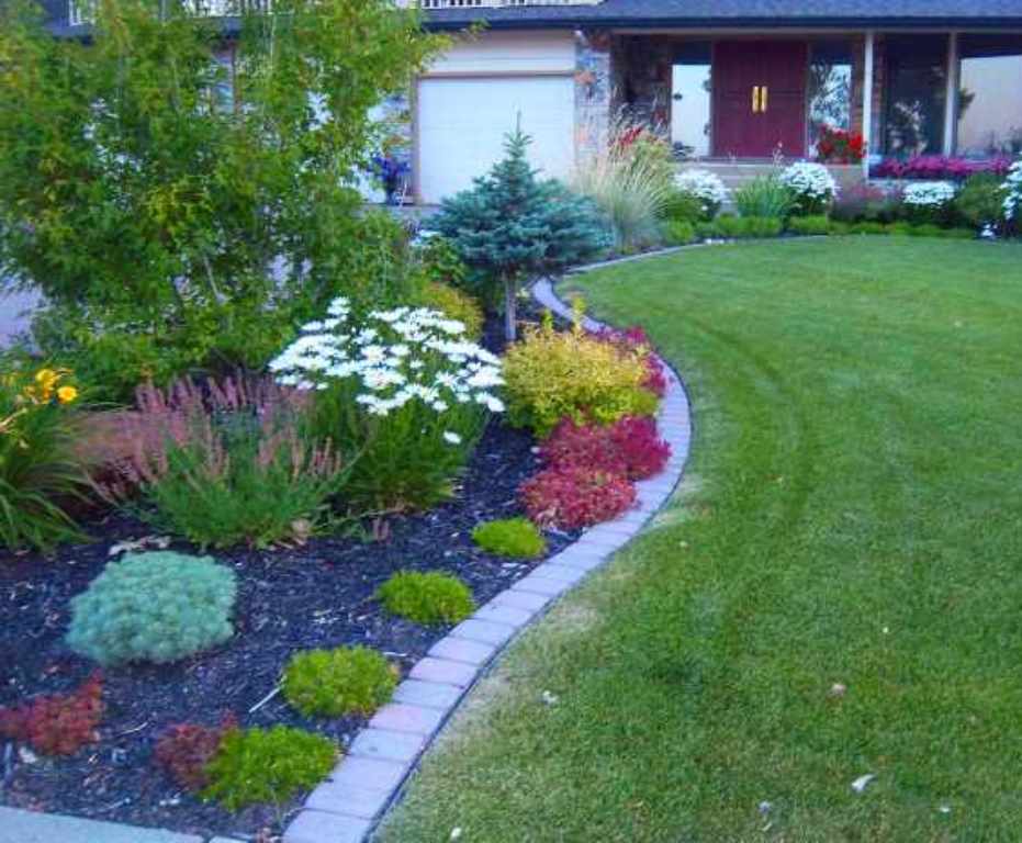 landscaped garden